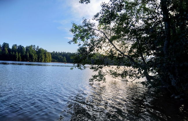 Pinjakoti - Foto 54