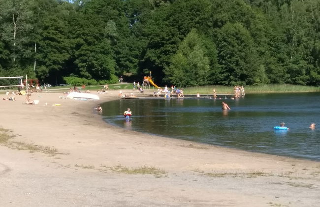 Pinjakoti - Foto 51