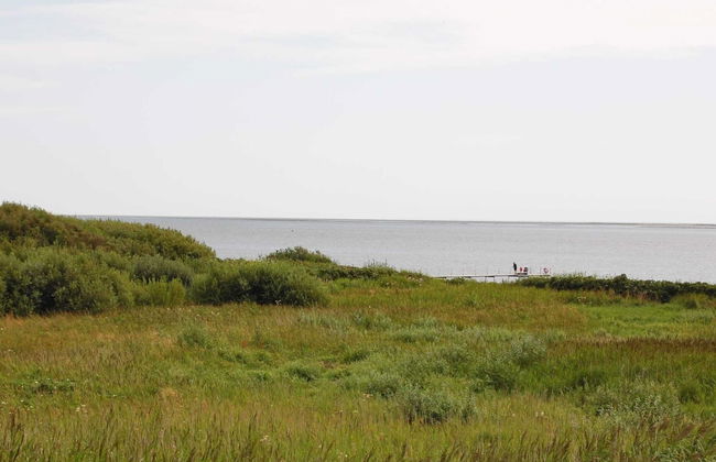 4 Person Holiday Home in Esbjerg V - Photo 24