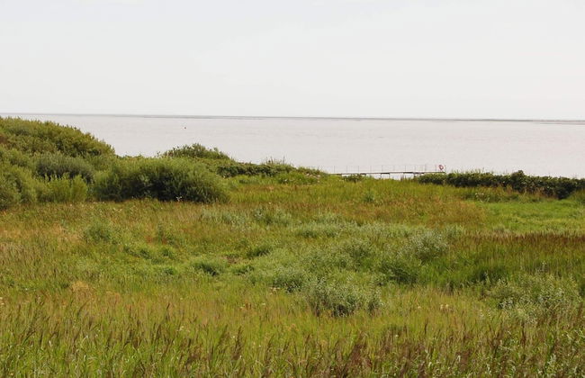 4 Person Holiday Home in Esbjerg V - Photo 22