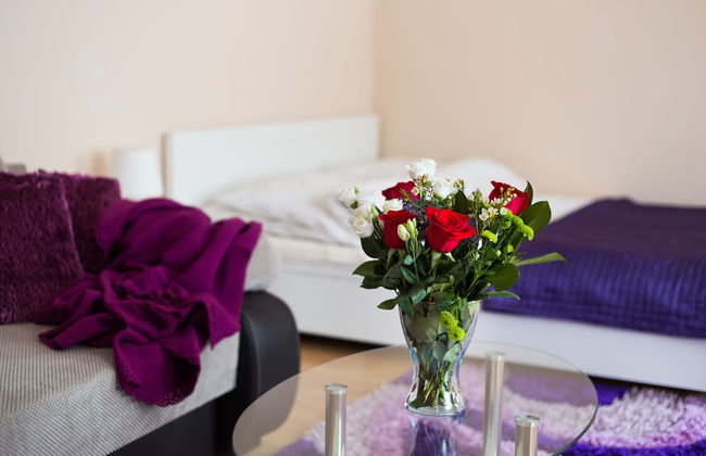 Aparthouse Apartamenty Sosnowiec - Foto 7