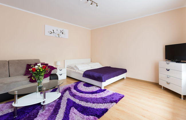 Aparthouse Apartamenty Sosnowiec - Foto 10