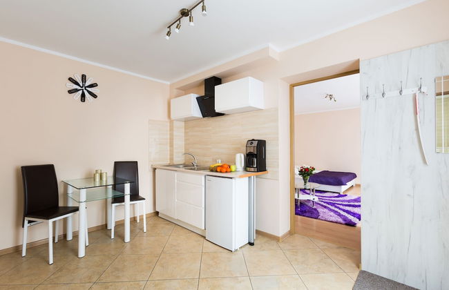 Aparthouse Apartamenty Sosnowiec - Foto 8
