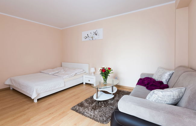 Aparthouse Apartamenty Sosnowiec - Foto 5