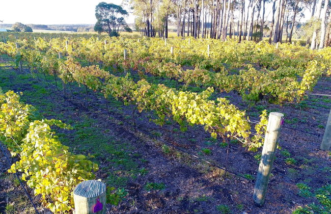 Margaret River Beach Apartments - Foto 55