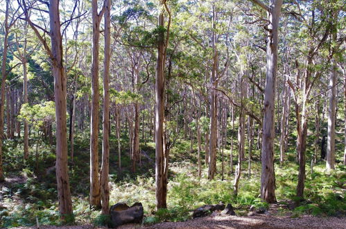 Foto 59 - Margaret River Beach Apartments