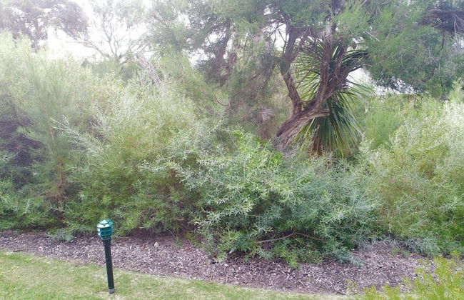 Margaret River Beach Apartments - Foto 54