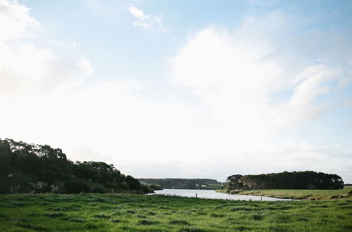 Photo 76 - NRMA Warrnambool Riverside Holiday Park