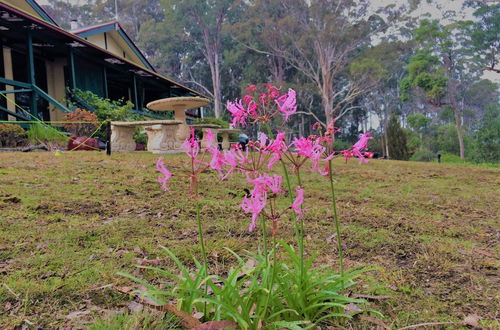 Photo 41 - Wonboyn Lake Resort