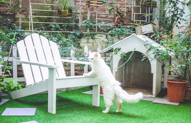 Hanoi Vintage Homestay - Foto 19