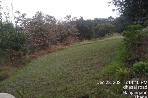 Photo 33 - Mesmerising Farm Stay in Chalets Near Mumbai and Pune. Create Memories