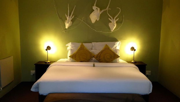Quarto