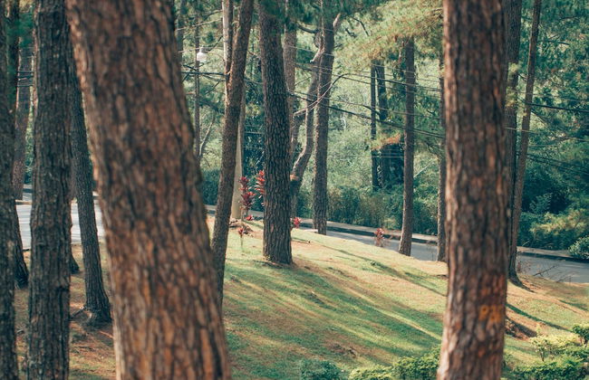 Azalea Hotels & Residences Baguio - Foto 51