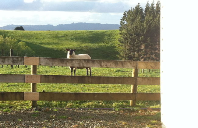 Mangawhai Retreat Apartments - Photo 80