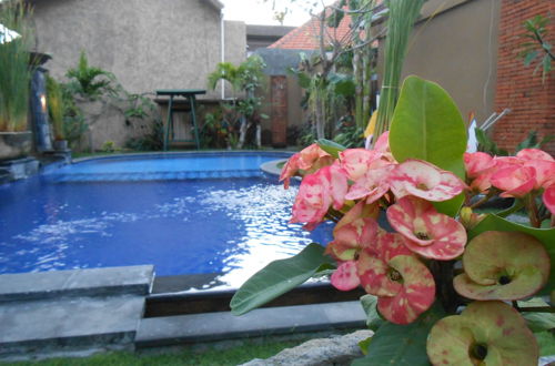 Photo 39 - Praschita Bali