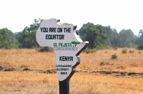 Photo 18 - Ol Pejeta Holiday Villas