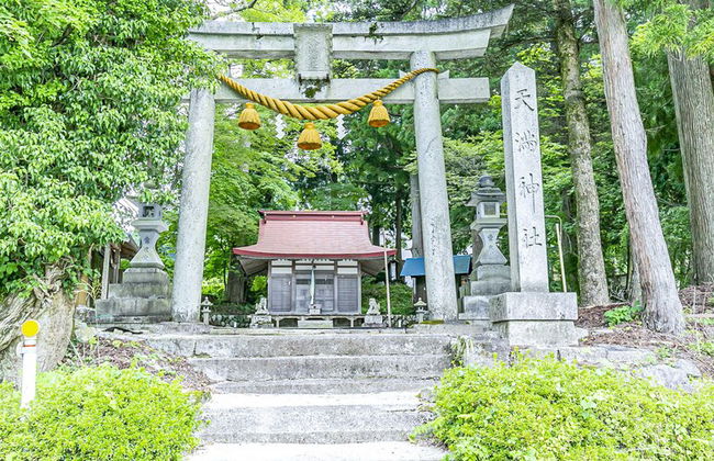Soyomo - Photo 20