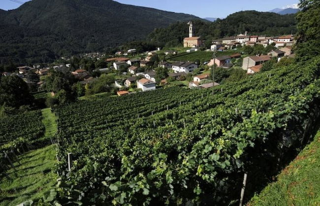 Casa Hürlimann Erholung Im Malcantone - Foto 47