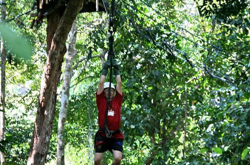 Photo 24 - Permai Rainforest Resort