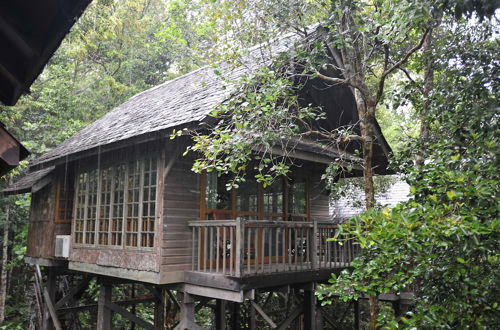 Foto 5 - Permai Rainforest Resort
