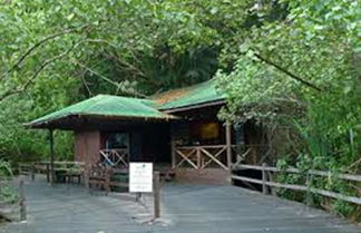 Foto 2 - Permai Rainforest Resort