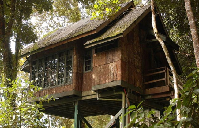 Permai Rainforest Resort - Photo 7