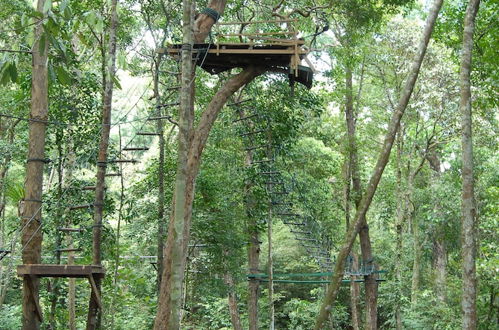 Photo 23 - Permai Rainforest Resort