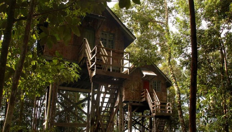 Foto 1 - Permai Rainforest Resort