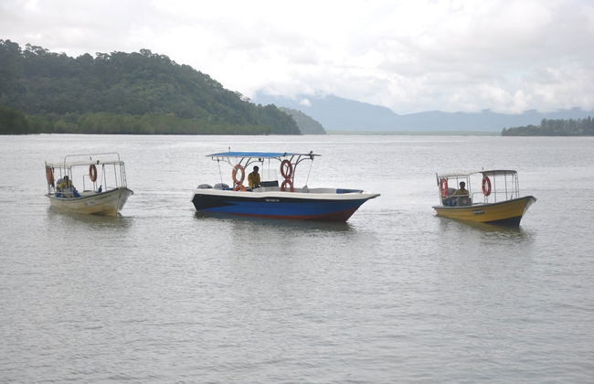 Permai Rainforest Resort - Photo 28