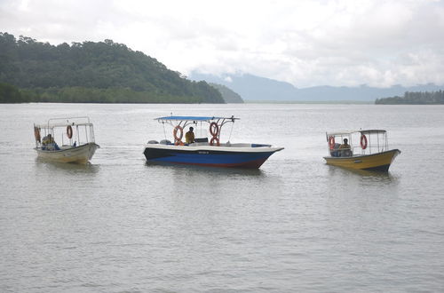 Photo 28 - Permai Rainforest Resort