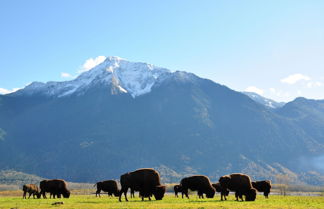 Photo 1 - Fraser River Outpost Lodge