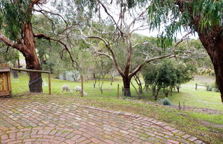 Foto 2 - Bells Estate Great Ocean Road Cottages