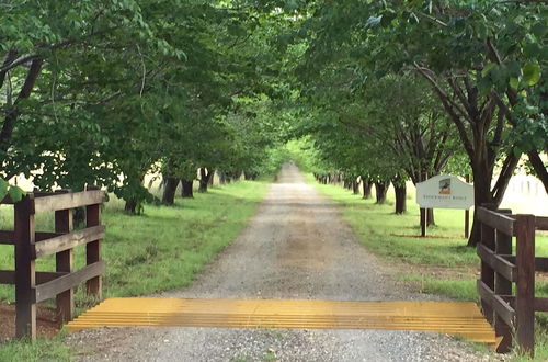 Photo 28 - Swagman Homestead