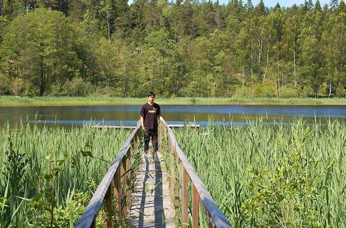 Photo 20 - Holiday Home in Mellerud