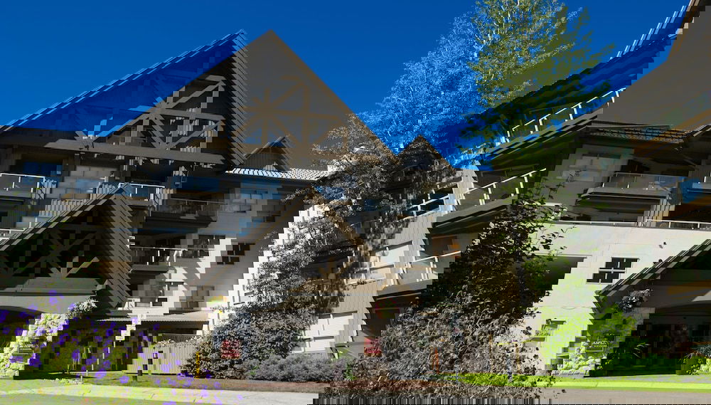 Image principale