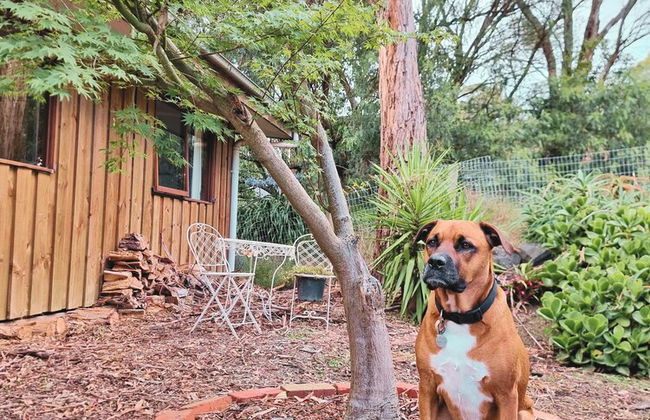 Rustic Country Lane Farmhouse in Lysterfield - Photo 21