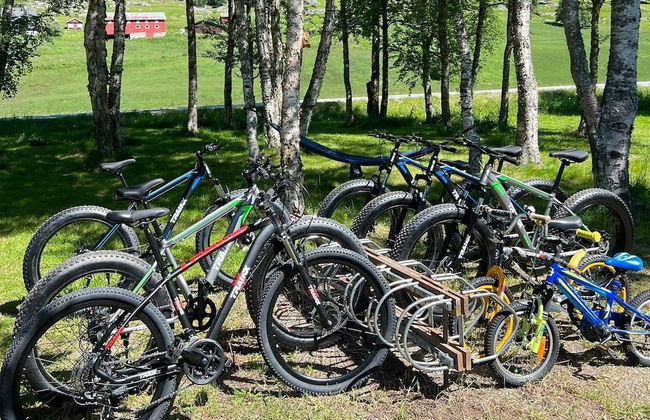 Birkelund Camping - Foto 14