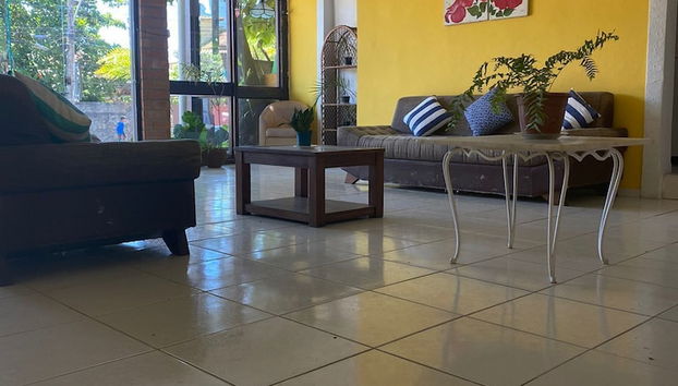 Receção