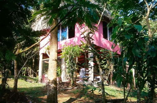 Photo 1 - Vanilla Jungle Lodge - Bed & Breakfast