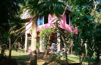 Photo 1 - Vanilla Jungle Lodge - Bed & Breakfast