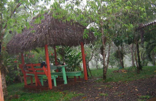 Vanilla Jungle Lodge - Bed & Breakfast - Foto 19
