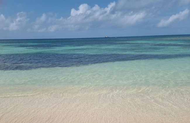 Harrys Cottages Cottage 5 Right on the Pink Sand - Foto 11