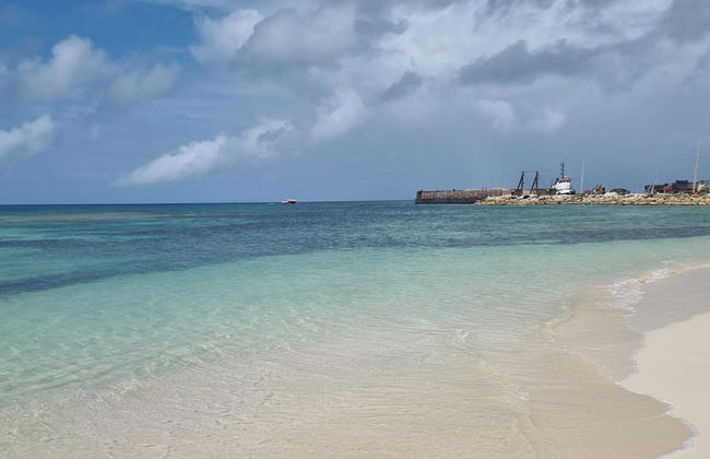 Harrys Cottages Cottage 5 Right on the Pink Sand - Foto 10