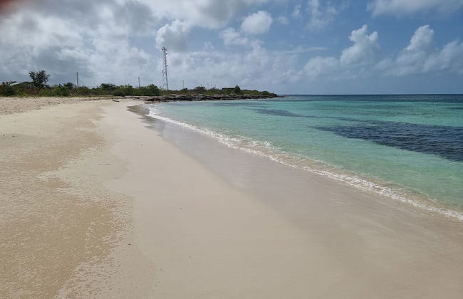 Charming 1-bed Cottage in Codrington - Foto 10