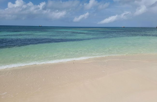 Harrys Cottages Cottage 5 Right on the Pink Sand - Foto 9