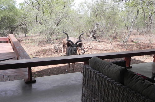 Foto 4 - Marloth Kruger Bush Villa