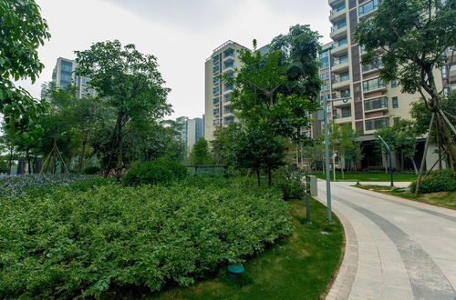 Photo 56 - The Canton Residence Foshan