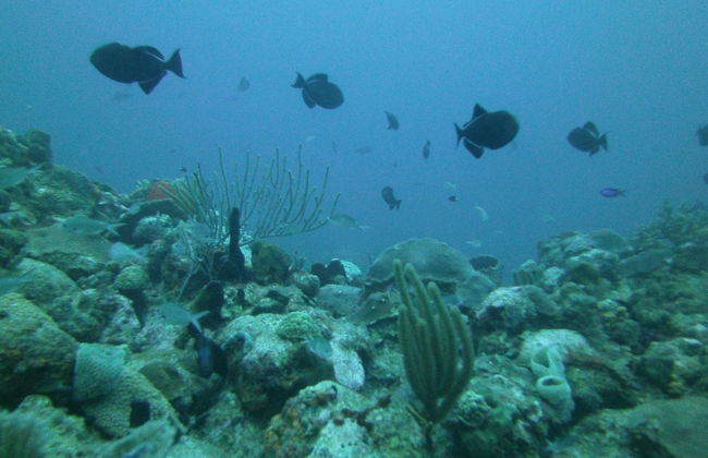 Sea View Play - Photo 35