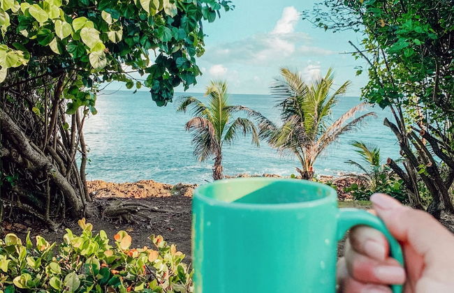 Sea View Play - Photo 49