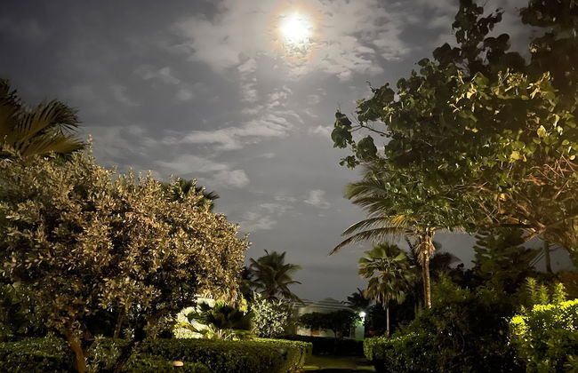 Sea View Play - Photo 52